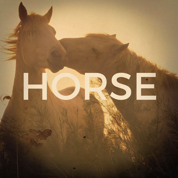 Equipment for your horse