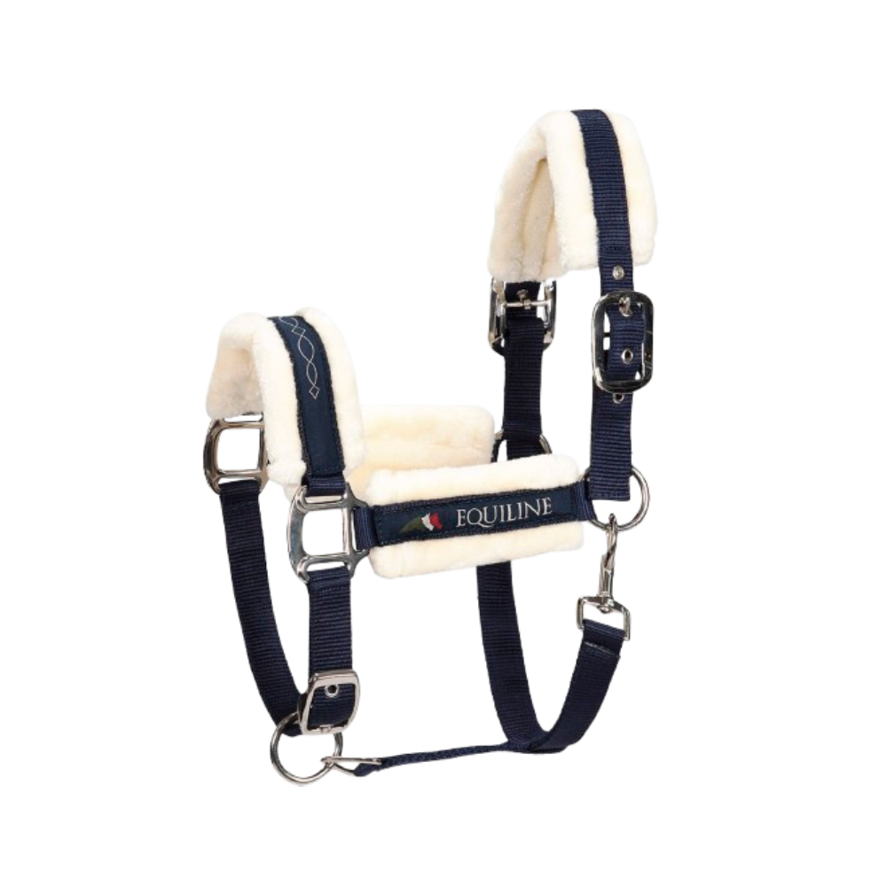 Halter TOM by Equiline